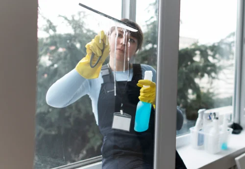 Nettoyage de vitres intérieures et extérieures à la Terrasse-sur-Dorlay